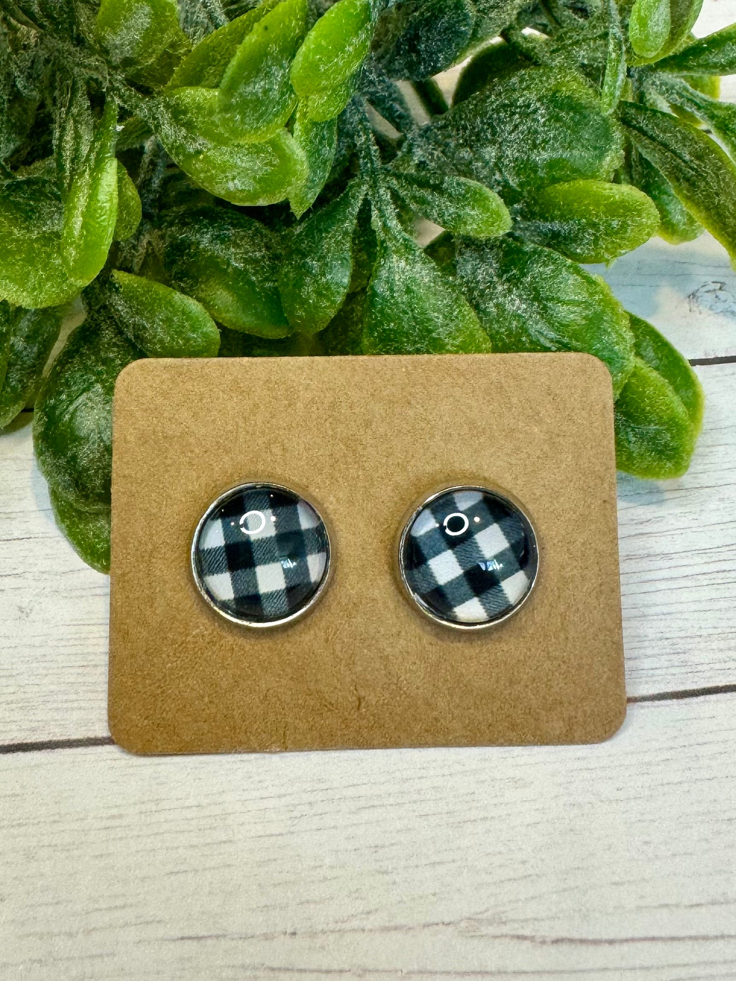 Black and White Buffalo Studs