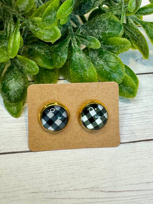 Black and White Buffalo Studs