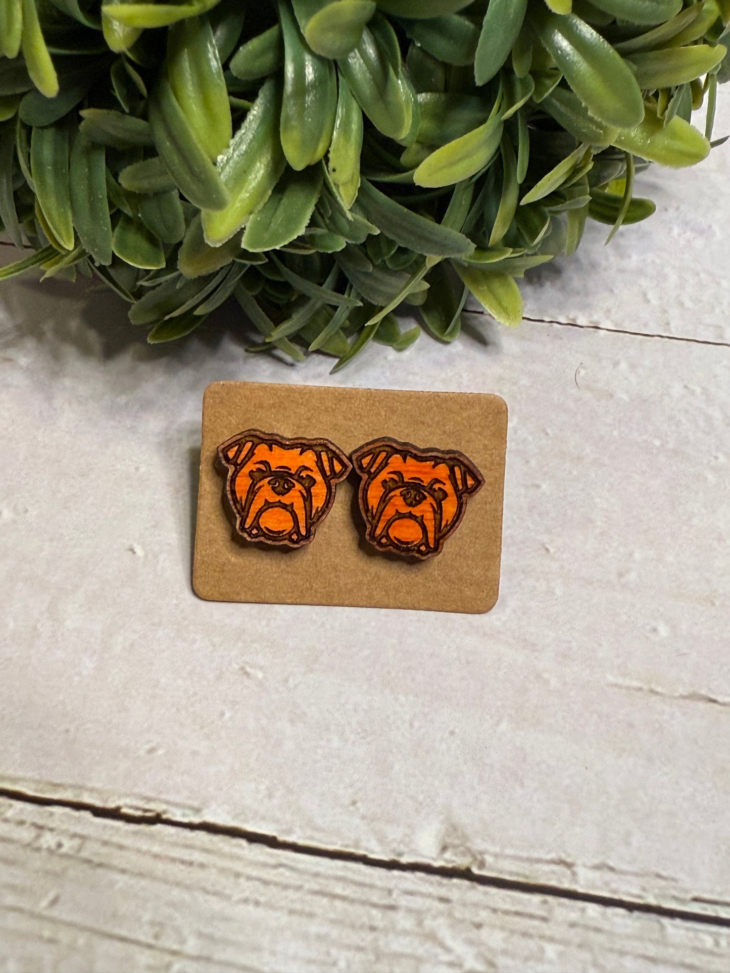 Orange Dog Stud