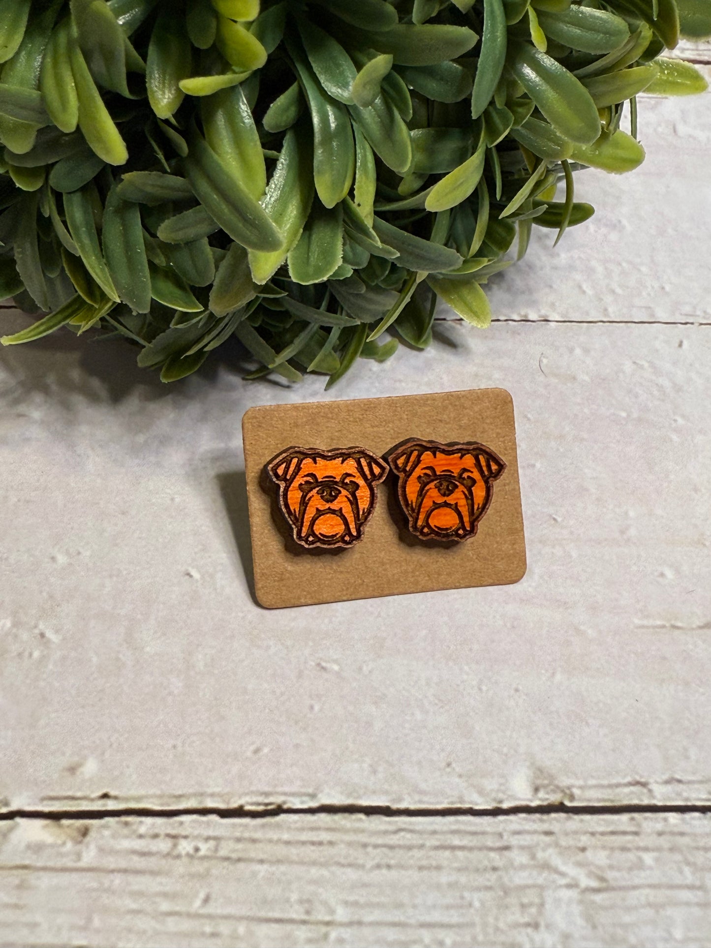 Orange Dog Stud